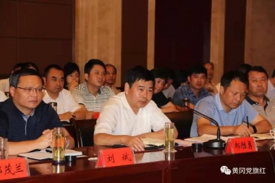 市委基层党建“整市推进”督查组对武穴市 基层党建开展全面督查