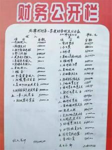 【基层回声】金家铺镇“手书公示”村级财务 还群众一个明白 上新集镇强化工作举措 做实大数据入户核查