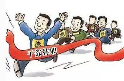 90后女博士挂职副县长！其实还有比她更早的