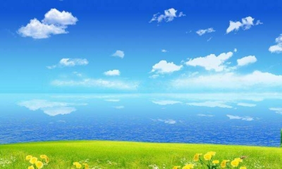 刘雪荣：持之以恒 扎实推进“四大创建”