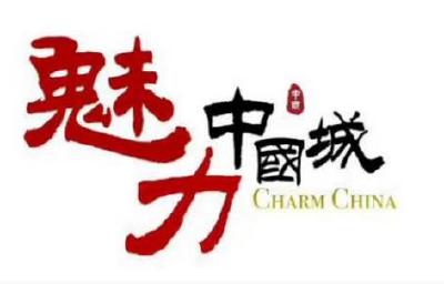 魅力中国城，社会组织在行动    