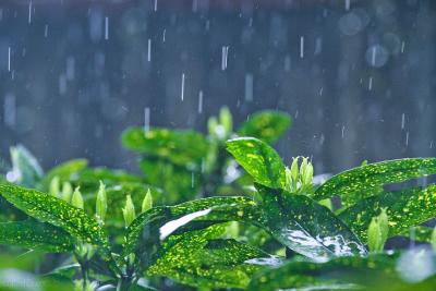 黄冈水雨情快讯