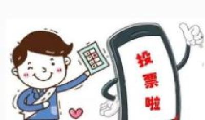市政府办通报全市投票情况