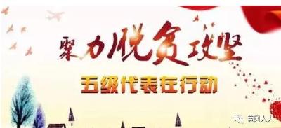 健全机制持续发力 跟踪督办全面推进