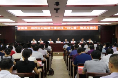 【巡视工作】省委第一巡视组向麻城市委反馈巡视“回头看”情况