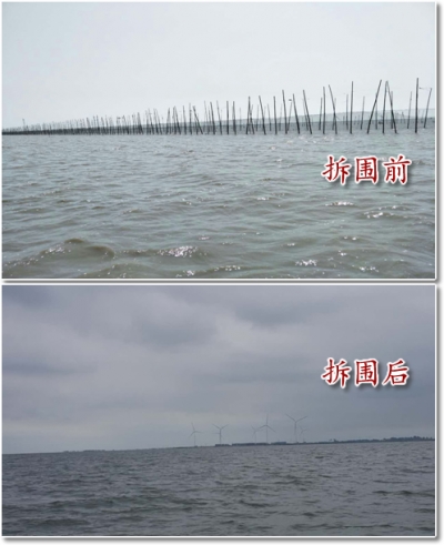 黄梅县龙感湖保护区围网围栏拆除工作提前通过验收