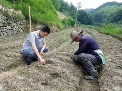 【英山扶贫】李家冲来了贴心人