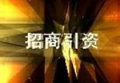 罗田三里畈：招商引资传捷报 项目建设起高潮