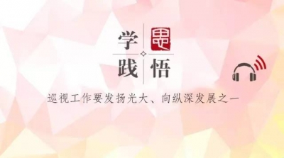 【学思践悟】（四十）中国特色的监督制度--巡视工作要发扬光大、向纵深发展之一
