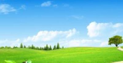 刘美频：强化举措 注重实效 确保招商引资实现“全年红”  