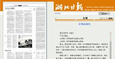 【小编推荐】马世永：又见山里红