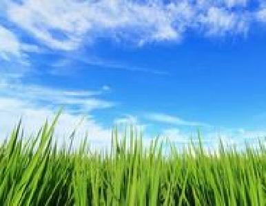 龙感湖下“硬功夫”建设法治“软环境”