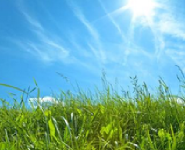 深圳企业家代表团来黄冈考察