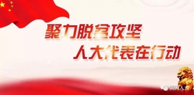 黄冈市人大代表、市政府市长刘美频参加麻城“聚力脱贫攻坚、人大代表在行动”活动