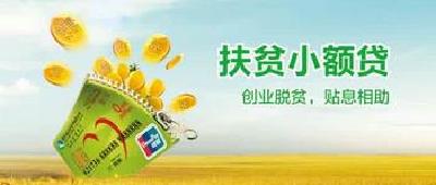英山县精准扶贫小额贴息贷款工作有序推进　