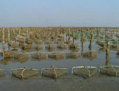黄梅：湖区围栏围网拆除工作完成 湖区水质持续向好