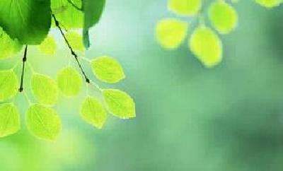 英山县聚焦深度贫困强化监督执纪