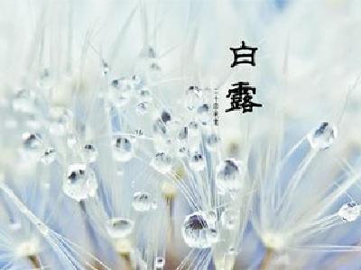 【诗意】清风至，白露生，那些关于白露的诗词  