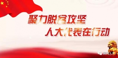 市人大常委会向市政府交办“聚力脱贫攻坚 人大代表在行动”意见建议12件