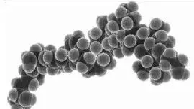 一家六口吃鱼中毒紧急送院 这毒素竟比河豚强100倍