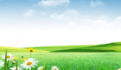 罗刚到汉川门社区部署创文工作