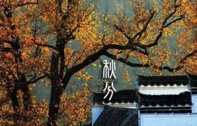 秋分至，一起来读诗词里的秋天