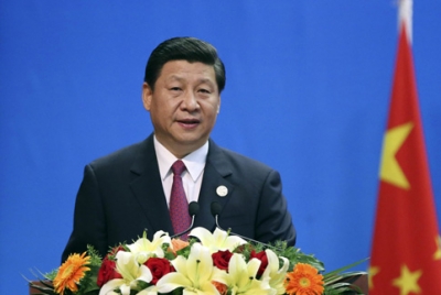 习近平:中巴关系是成熟而稳健的发展中大国关系