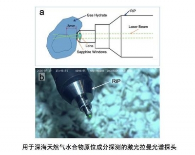 中国科学家首次在南海海域发现裸露