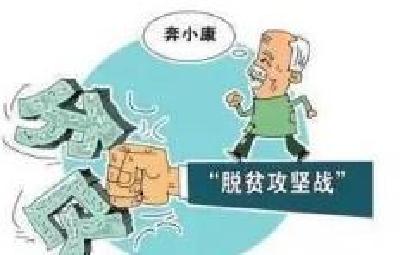 蕲春中药材成为贫困户脱贫的“铁杆庄稼”