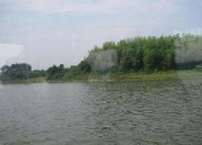 赤龙湖国家湿地公园生态保护与修复观察之三