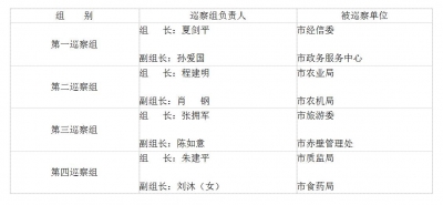 2017年市委第三轮巡察分组安排