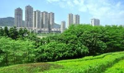 城市精神文明生活变化大