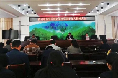 市林业局：以十九大精神为引领 开创林业发展新局面