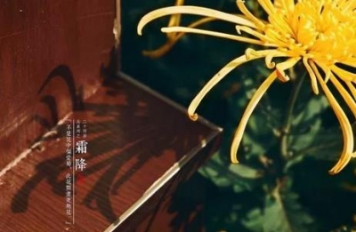 今日霜降｜秋将尽，露结为霜；冬欲来，情结为爱