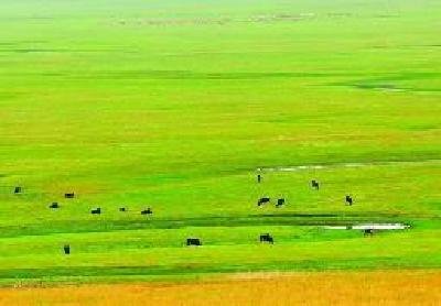 浠水推进畜牧业绿色发展