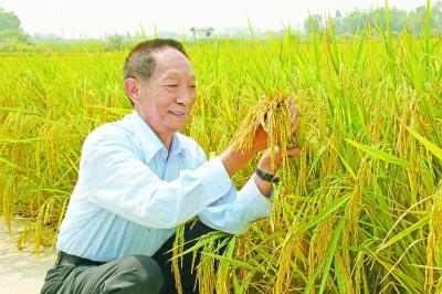 这位老人，又带来了好消息！