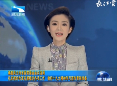 V视 | 蒋超良主持省委常委会会议强调 扎实抓好改革发展稳定各项工作 做好十九大精神学习宣传贯彻准备
