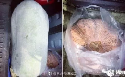 小伙开车回城上班打开后备箱惊呆了 网友:是亲妈