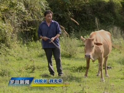 王子林：脱贫致富正当时