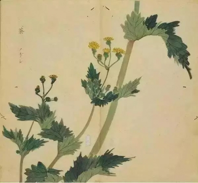 这三百首诗美了三千年，而你却连字都认不全！