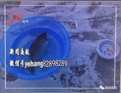 松花江的鱼出水瞬间冻成