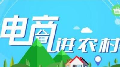 红安县举办“电子商务进农村”培训班