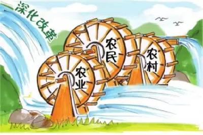我市召开农业农村改革领导小组第七次会议