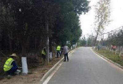 黄冈为公路路树穿上“冬衣” 确保温暖安全越冬