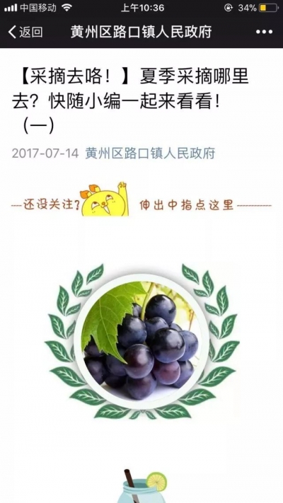 黄州区路口镇：“网上党支部”使工作有落实更有“温度”