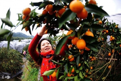 揭秘秦岭4大绝美国道 这秋色美哭了!
