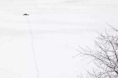 【好文荐读】留白：生命别太拥挤，才能游刃有余