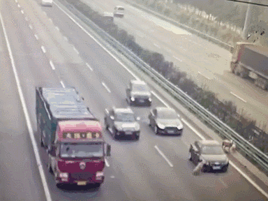 警示窗 | 3只羊导致4人死亡 细数其中“六大致命错误”