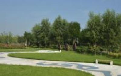 全省国土资源执法监察工作会议在我市召开