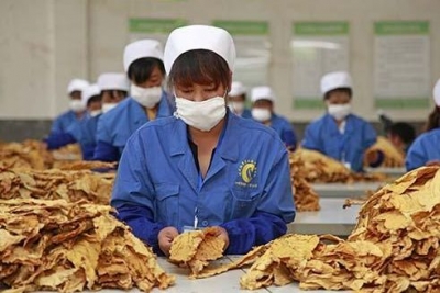 烟叶税法、船舶吨税法明年7月施行 有哪些看点？
